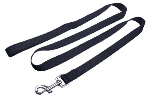 Dog leash guide belt