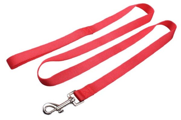 Dog leash guide belt