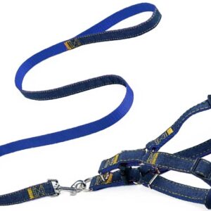 Dog harness with guide leash