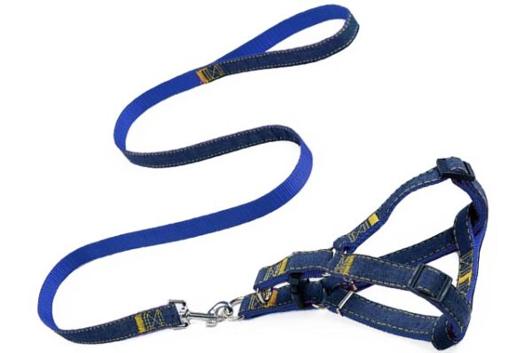 Dog harness with guide leash