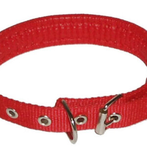 Dog collar with neoprene lining