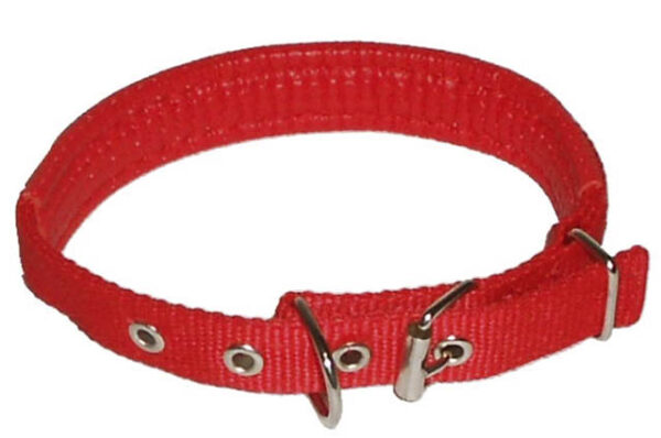Dog collar with neoprene lining