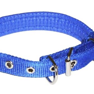 Dog collar with neoprene lining