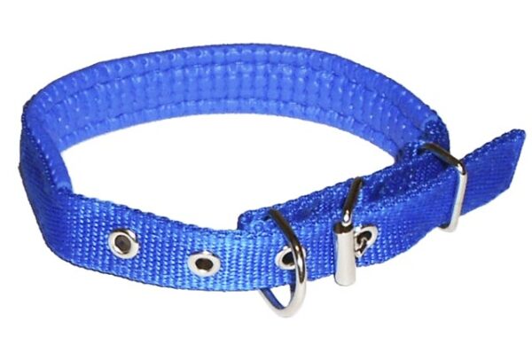 Dog collar with neoprene lining