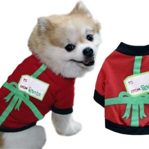 Christmas dog outfit From Santa