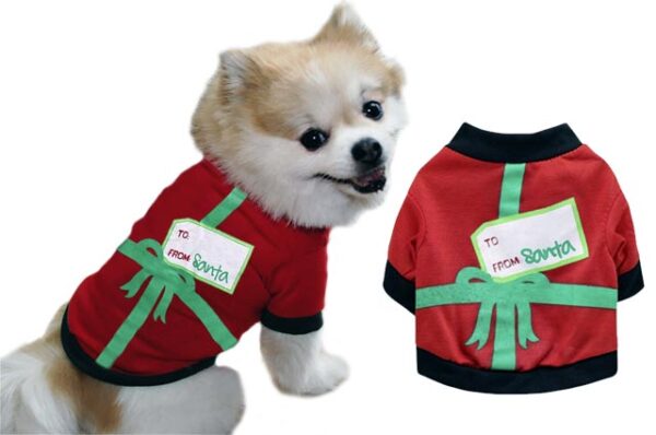 Christmas dog outfit From Santa