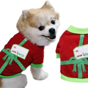Christmas dog outfit From Santa