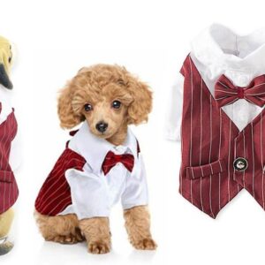 Groom suit for dogs