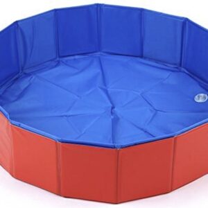 Dog pool