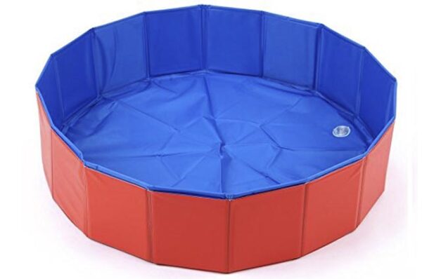 Dog pool