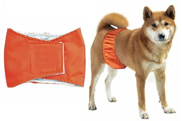 Diaper belt for male dogs